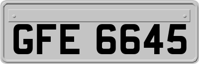 GFE6645