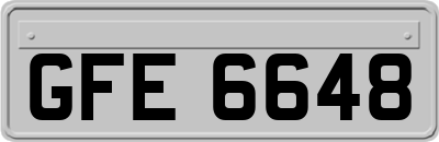 GFE6648