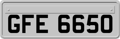 GFE6650