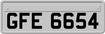 GFE6654