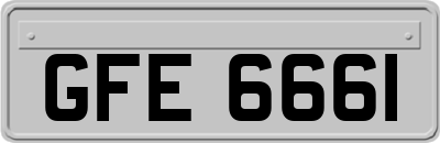 GFE6661