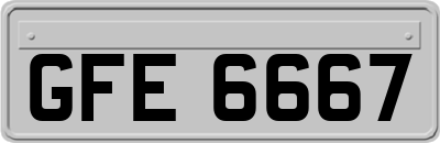 GFE6667