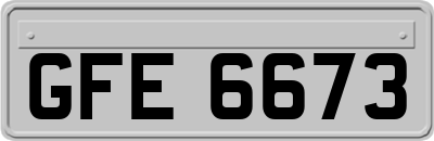 GFE6673