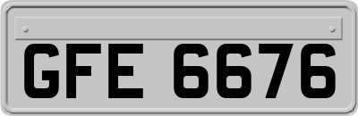 GFE6676