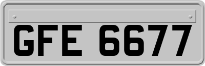 GFE6677