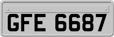 GFE6687