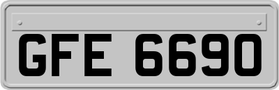 GFE6690