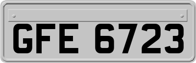 GFE6723