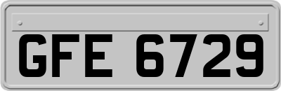 GFE6729