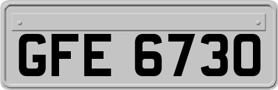 GFE6730