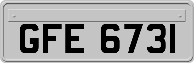 GFE6731