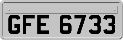 GFE6733