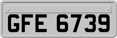 GFE6739
