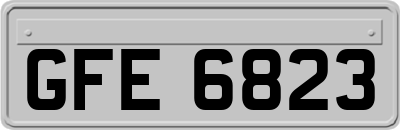 GFE6823