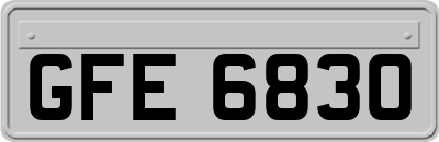 GFE6830
