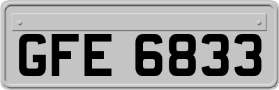 GFE6833