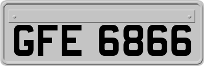 GFE6866