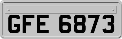 GFE6873