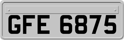 GFE6875