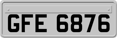 GFE6876