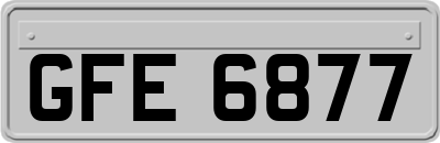 GFE6877
