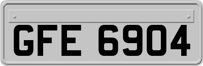 GFE6904