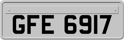 GFE6917