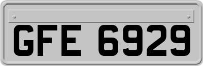 GFE6929