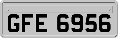 GFE6956