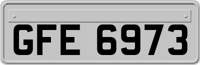 GFE6973