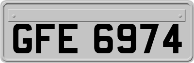 GFE6974