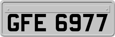 GFE6977