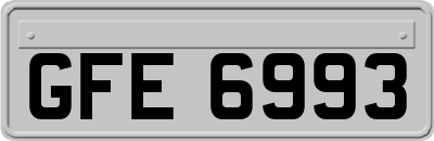 GFE6993