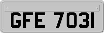 GFE7031