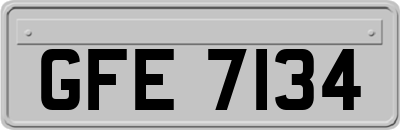 GFE7134