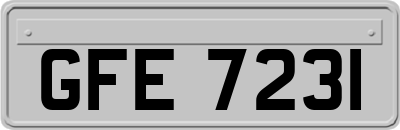 GFE7231