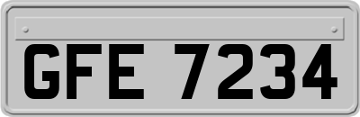 GFE7234