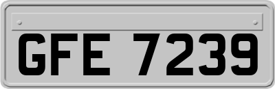GFE7239