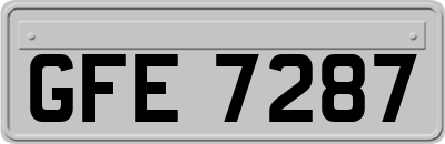 GFE7287