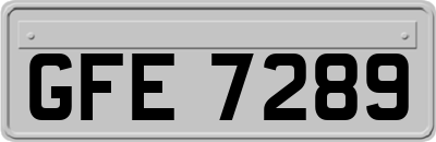 GFE7289