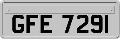 GFE7291