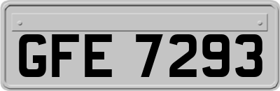 GFE7293