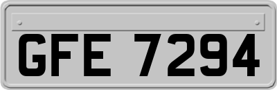 GFE7294