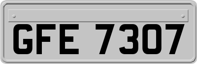 GFE7307