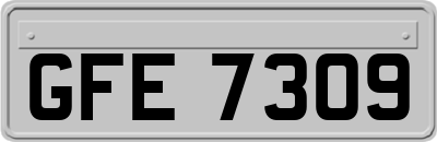 GFE7309