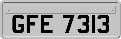 GFE7313