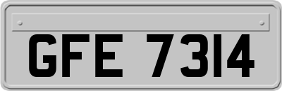 GFE7314