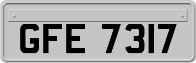 GFE7317