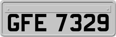 GFE7329