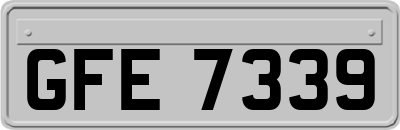 GFE7339